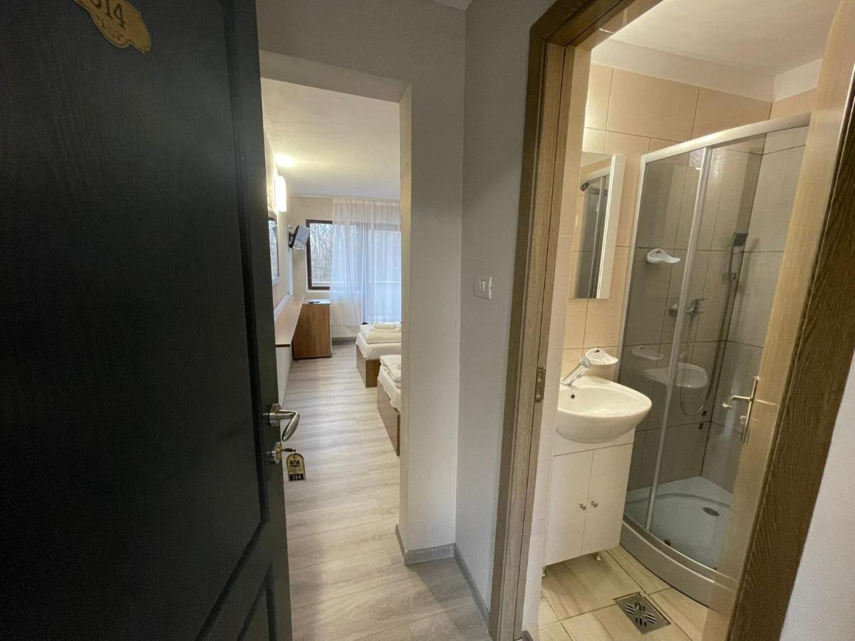 Hotel Le Baron Τιμισοάρα Εξωτερικό φωτογραφία